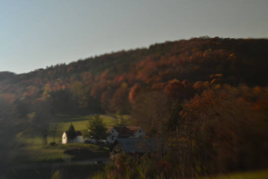 hillside in autumn