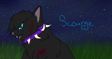 Scourge