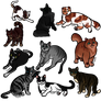 Pack of Cat Adopts