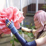 Lightnings Pink Rose