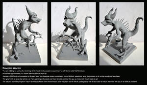 Draconic-Warrior Charity Auction!