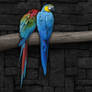 Parrots Widescreen