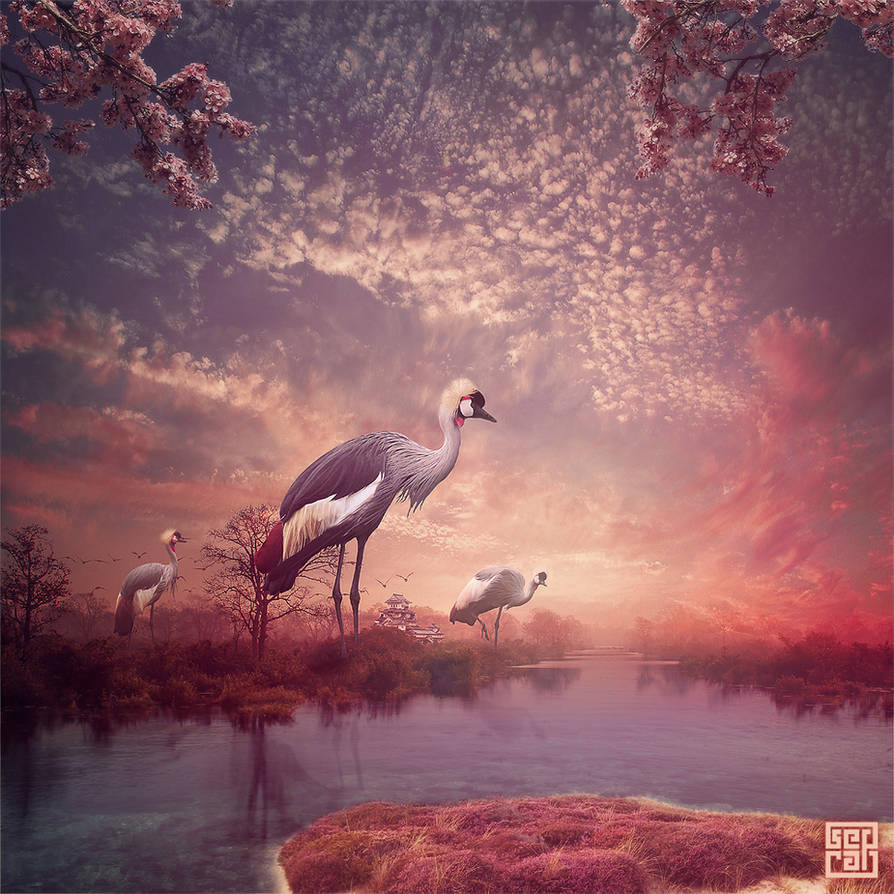 Crane Gods by Sed-rah