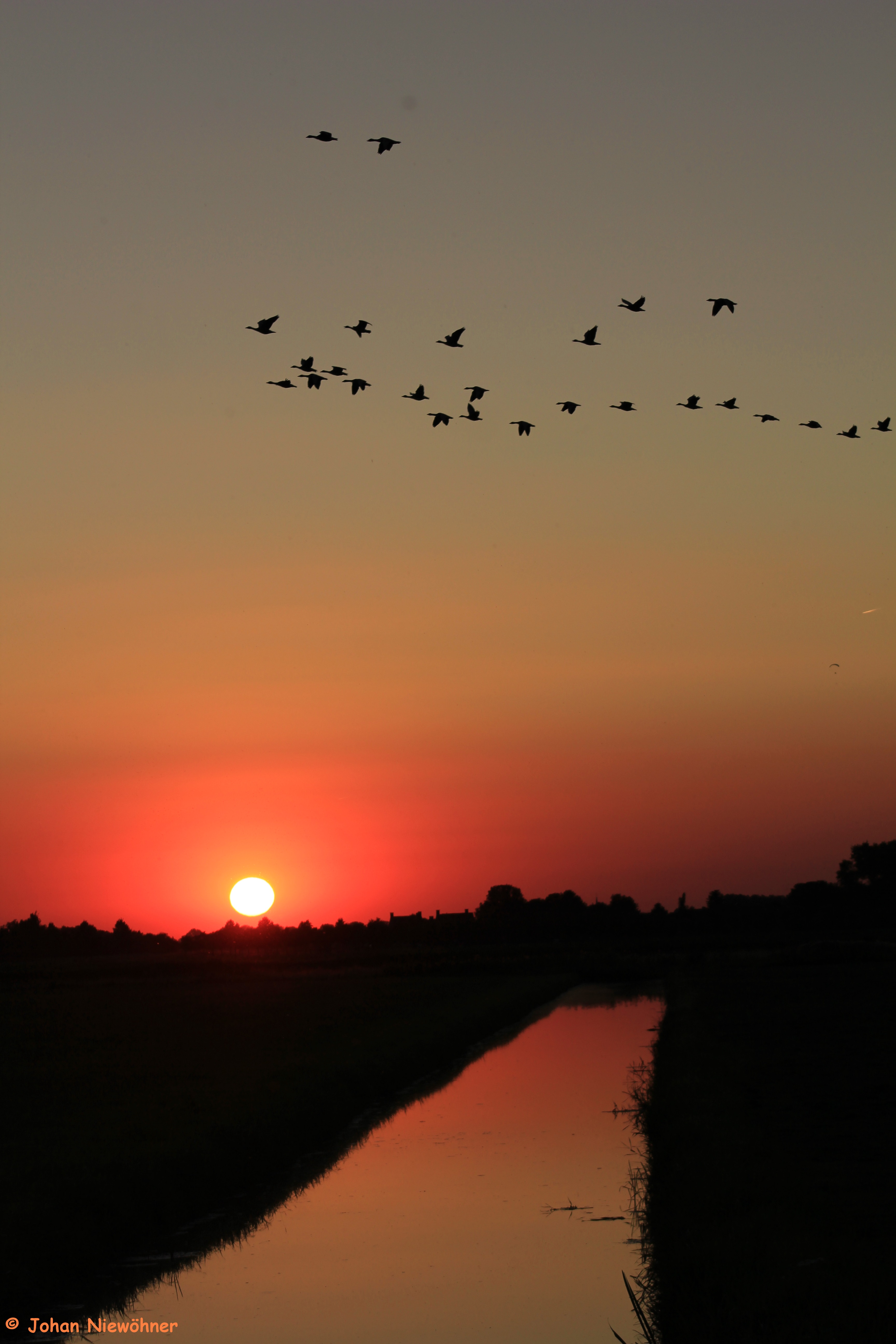 sunset in the polder