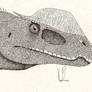 Dilophosaurus head