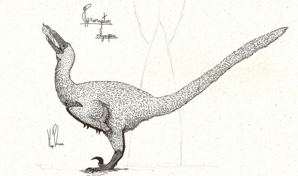 Pyroraptor by dinosaurusbrazil on DeviantArt