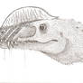 Dilophosaurus Head