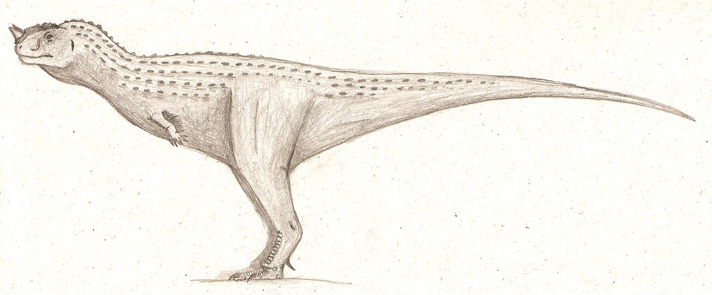 Pycnonemosaurus nevesi