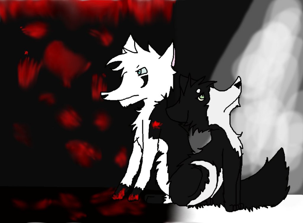 Mist Wolves wolf of mist isle ranks of mountainpack by epicwolf55 on DeviantArt