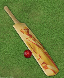 Peter Davison Cricket Bat