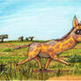 Giraffe for Fern