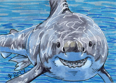 Birthdays December 2017 - Have A Shark by AnimeGirlMika