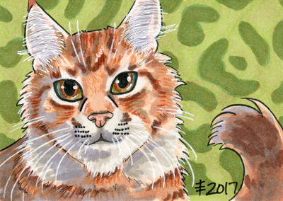 2017 Christmas Presents - Mama Cat by AnimeGirlMika