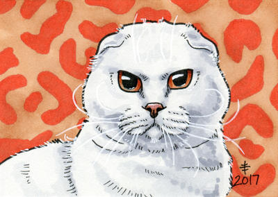 2017 Christmas Presents - Daddy Cat