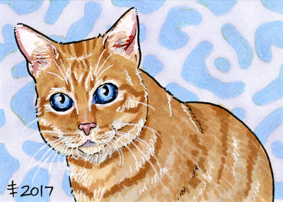 2017 Christmas Presents - Little Sister Cat by AnimeGirlMika