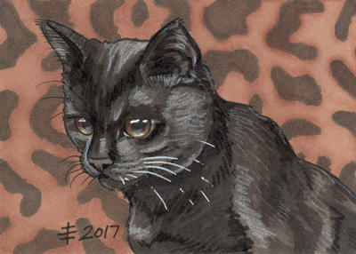 2017 Christmas Presents - Little Brother Cat by AnimeGirlMika