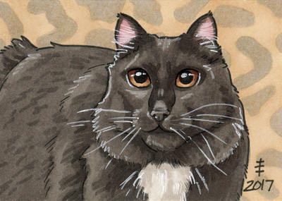 2017 Christmas Presents - Sarah Cat by AnimeGirlMika