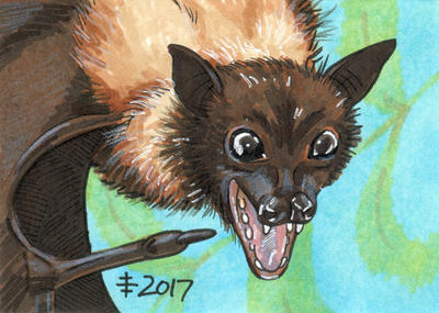Birthdays December 2017 - Have A Bat by AnimeGirlMika