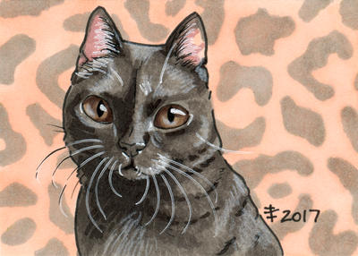 2017 Christmas Presents - Nat Cat by AnimeGirlMika