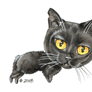 Chibi Kiba