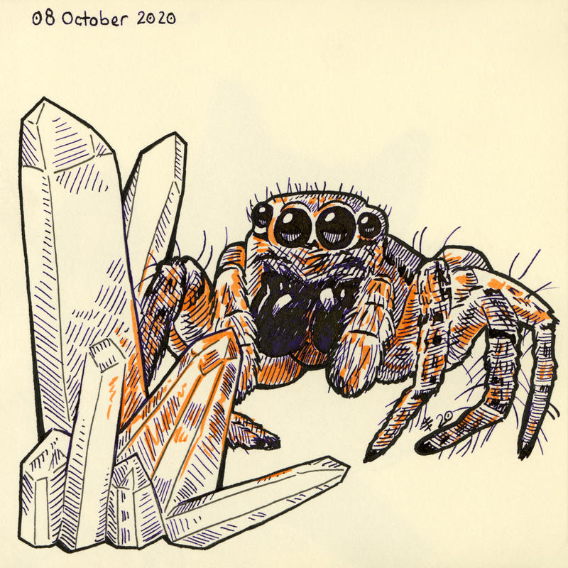 2020 Inktober 6: Spider by StudioMikarts on DeviantArt