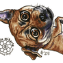 Chibi Aoife (2023)