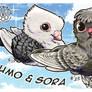 Chibi Pigeons Postcard