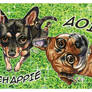 Chibi Puppies Postcard