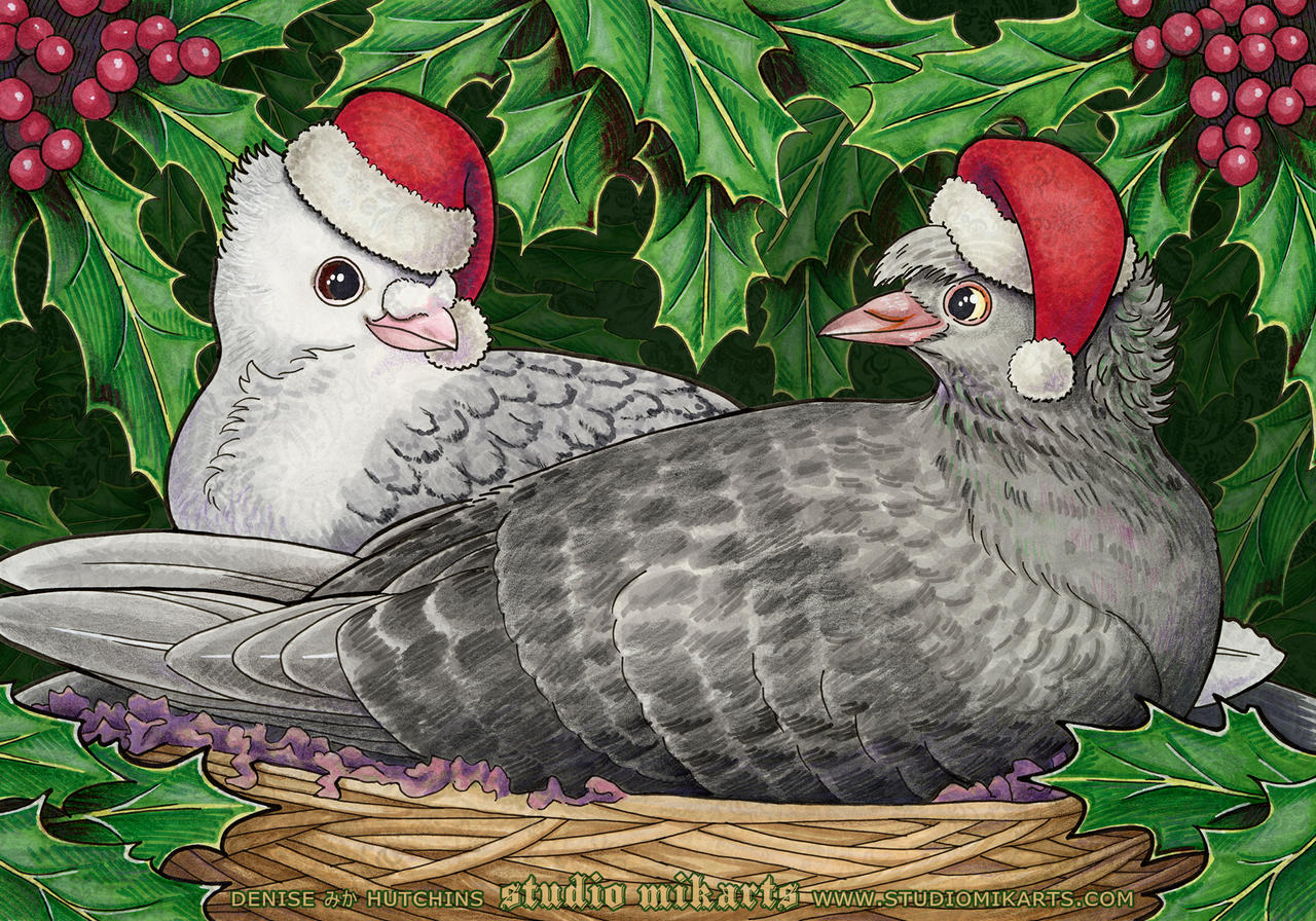 Cozy Christmas Coodlers