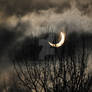 Solar eclipse 2011