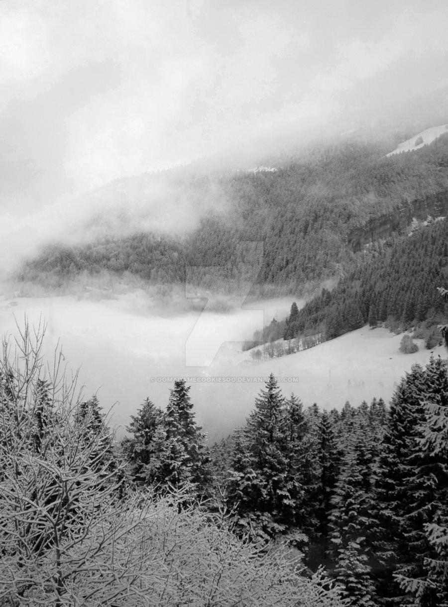 Fog in Mountain