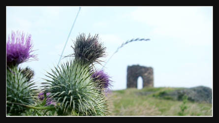 thistle