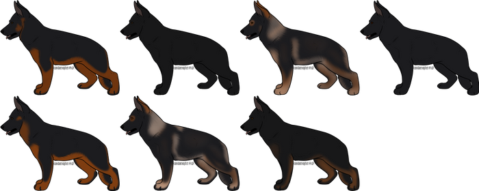 German Shepherd Dog A-Litter