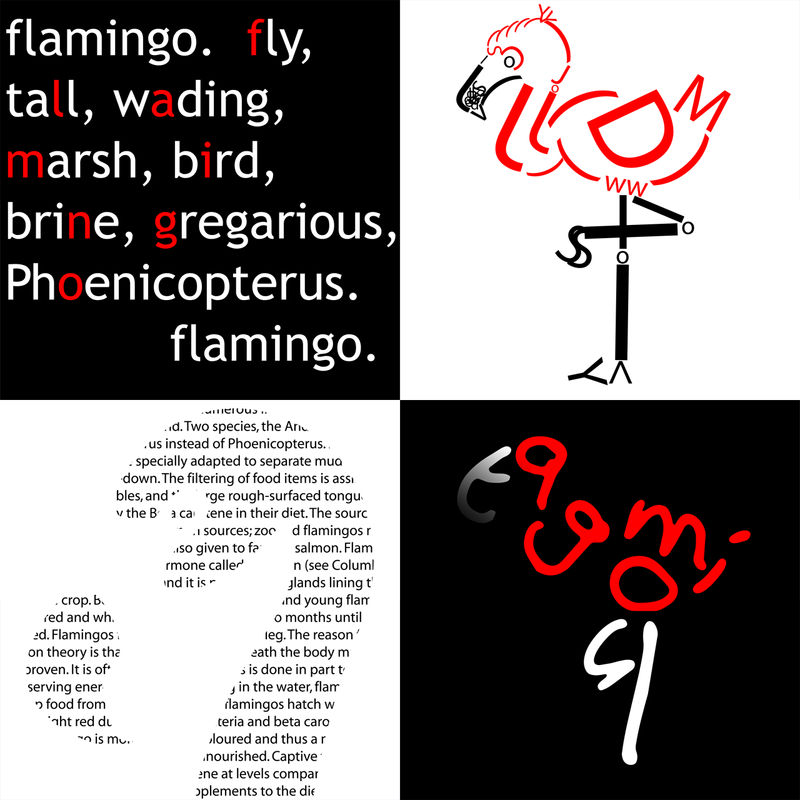 Typography - Flamingo 1