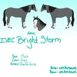 Bright Storm *FOR SALE* by ColorFanatic