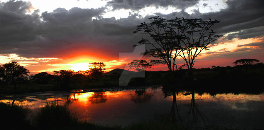 serengeti tanzania sunset