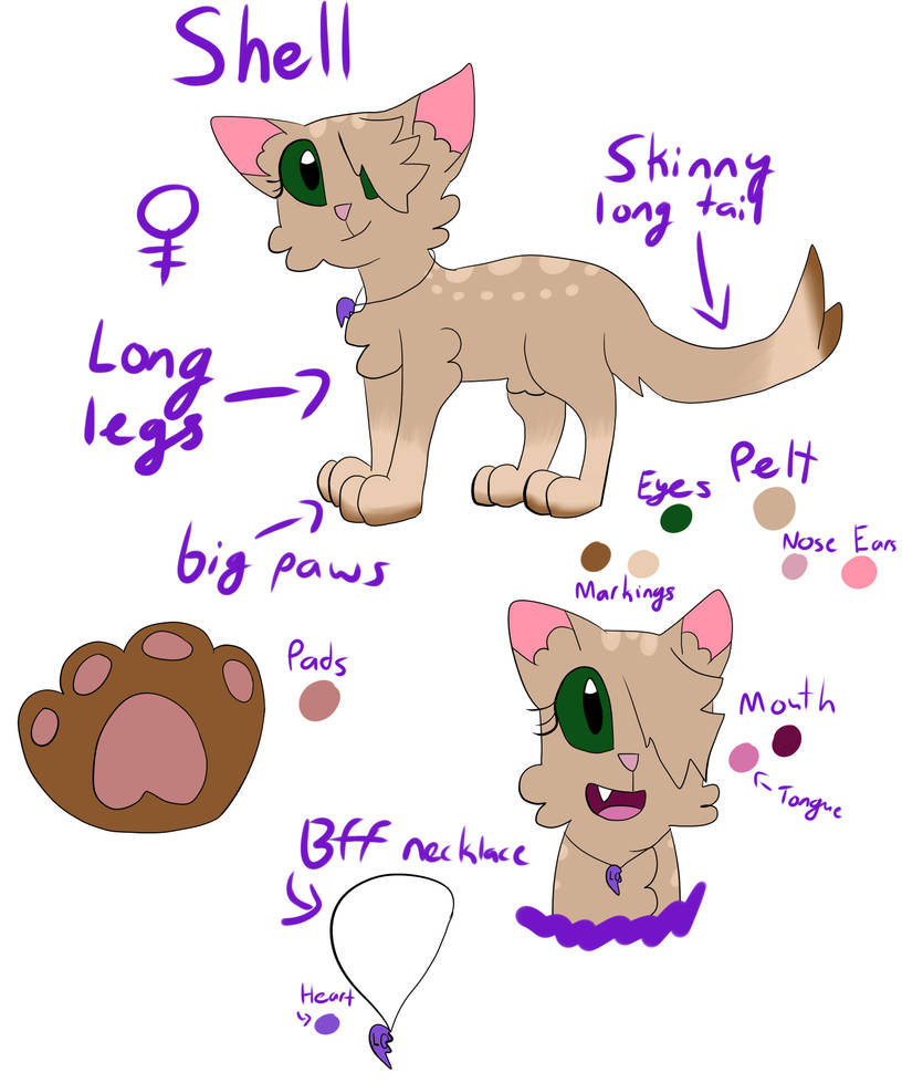 Shell Reference by Oceanrush on DeviantArt