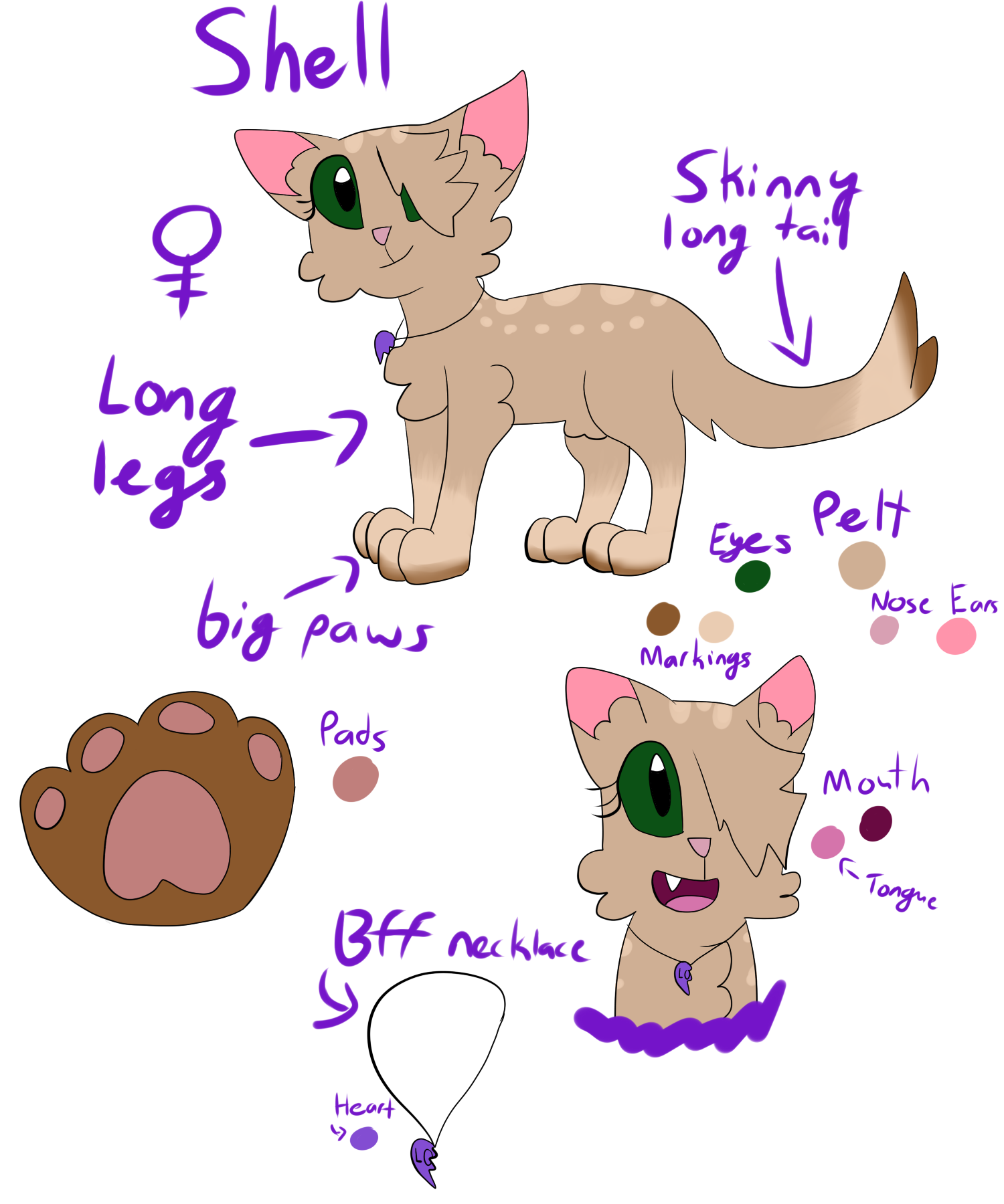 Shell Reference by Oceanrush on DeviantArt