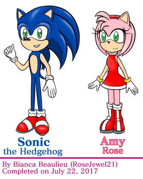 Sonic and Amy Practice