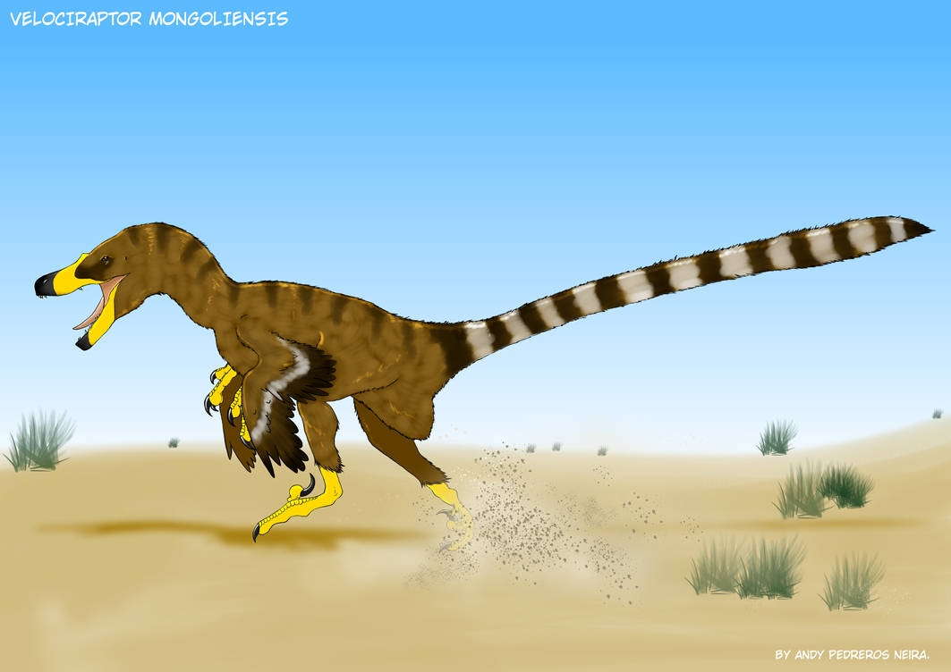 Velci Raptor Paleoart #2 - Velociraptor mongoliensis by FRIKIZILLArts on DeviantArt