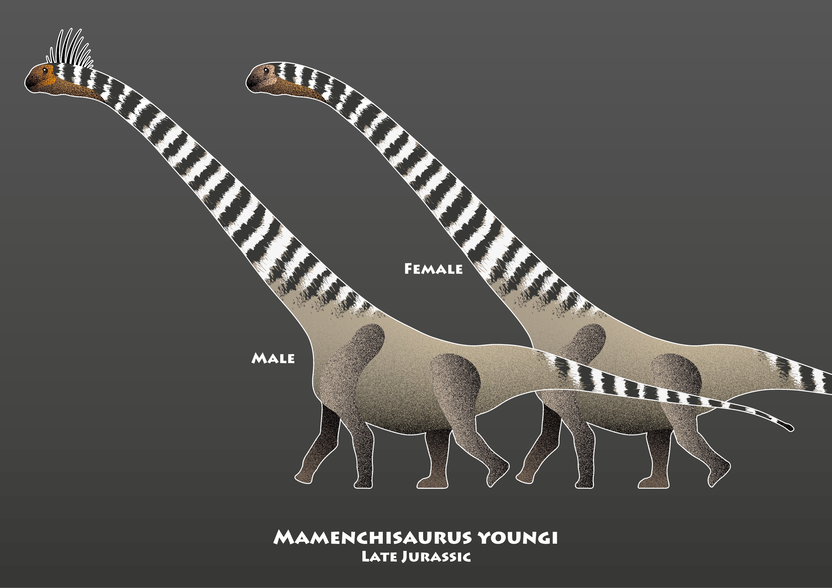 Paleoart #22 - Mamenchisaurus youngi by FRIKIZILLArts on DeviantArt