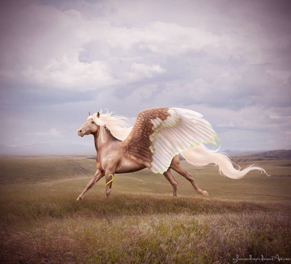 the prince by xglassraindrops