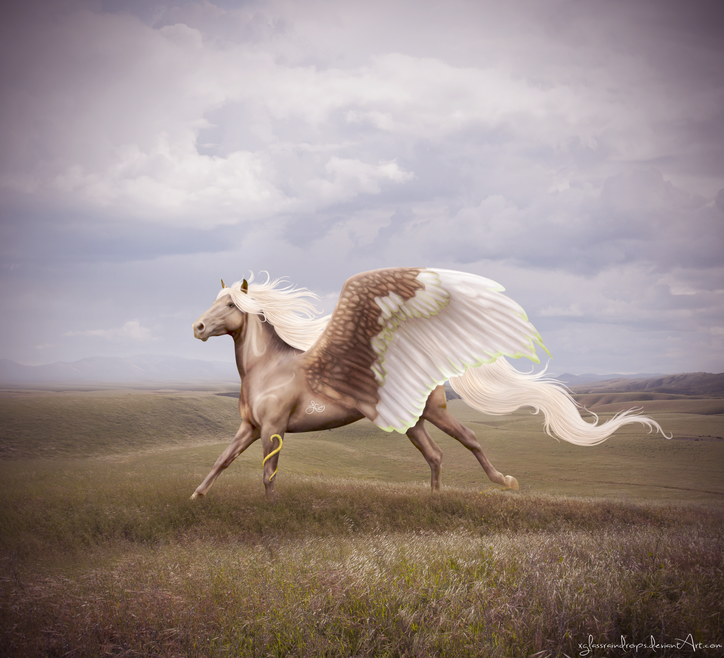 the prince by xglassraindrops