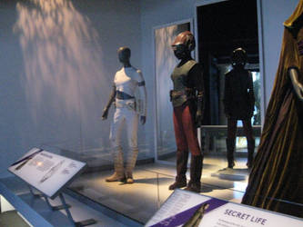 Padme Outfits 6