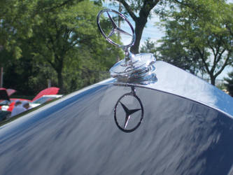 1957 Mercedes Cabriolet Hood Ornament
