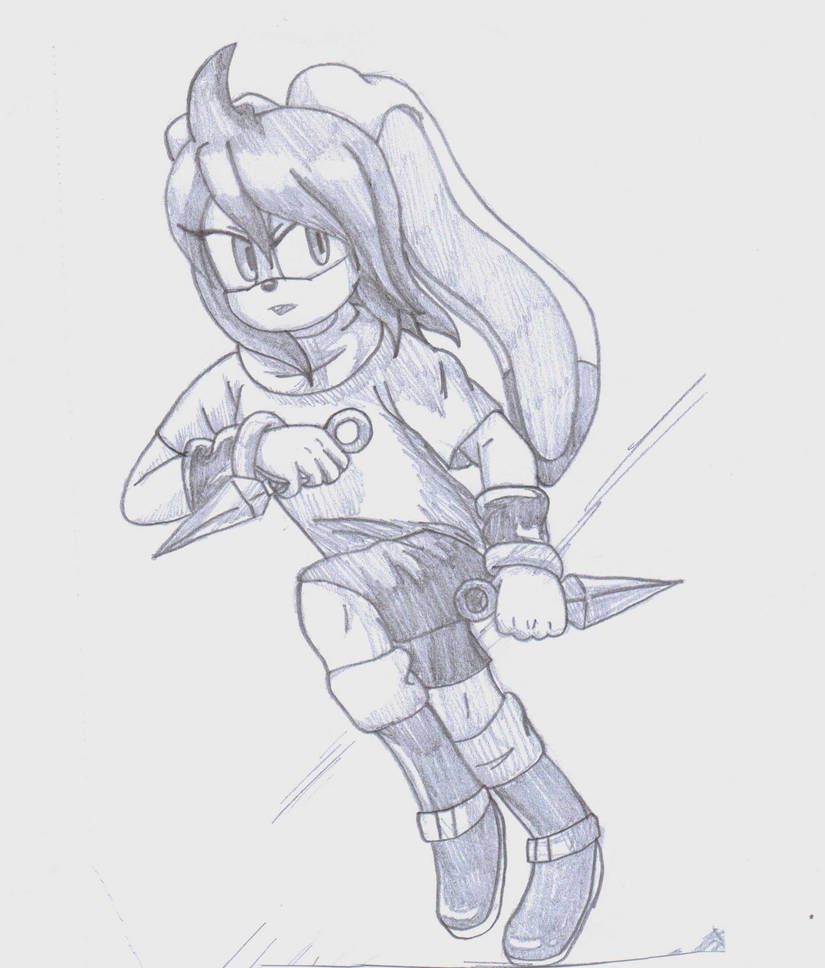 Alex the Rabbit - Training by OokamiWarrior1234 on DeviantArt