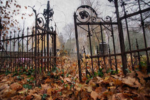 Old Cemetary Lodz