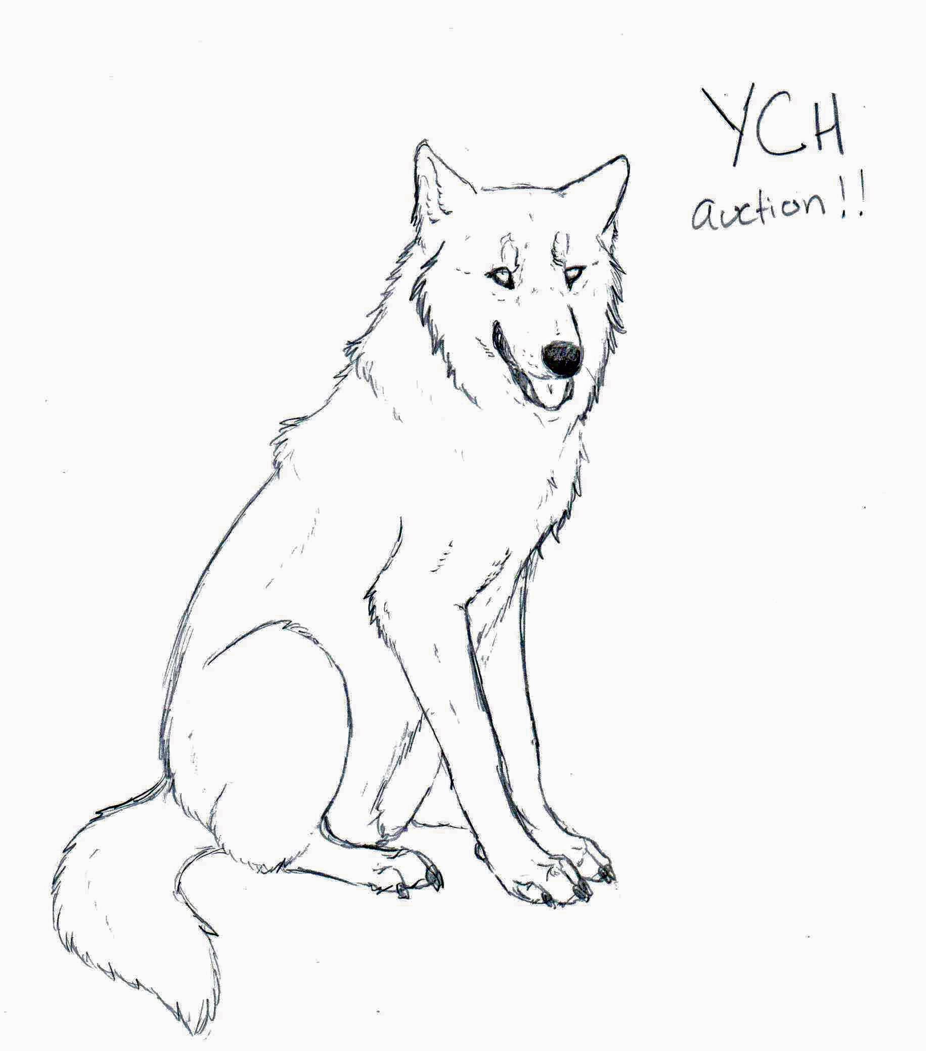 Your Character Here: Sitting Wolf