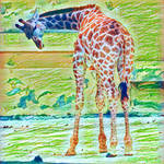 Animalia - Girafa by Egil21