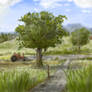 Yet another rural landscape